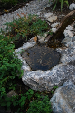 中村建築事務所の住まいの建築例 庭